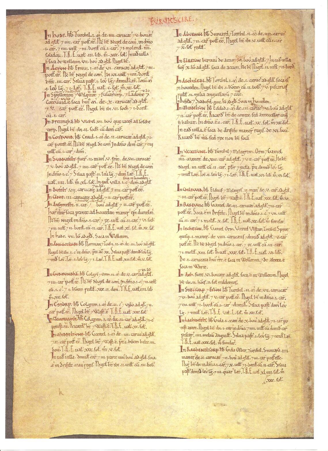 Domesday document