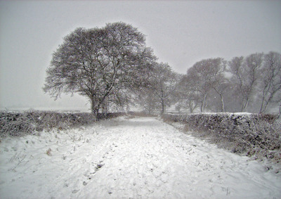 Donkey Lane in the snow 2008