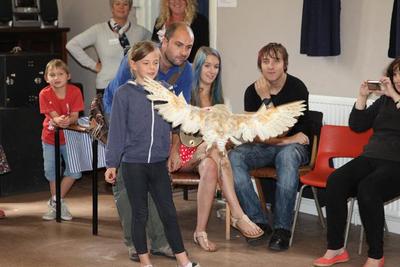 The Owls Come to Ellerton