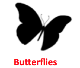 Buterflies.png