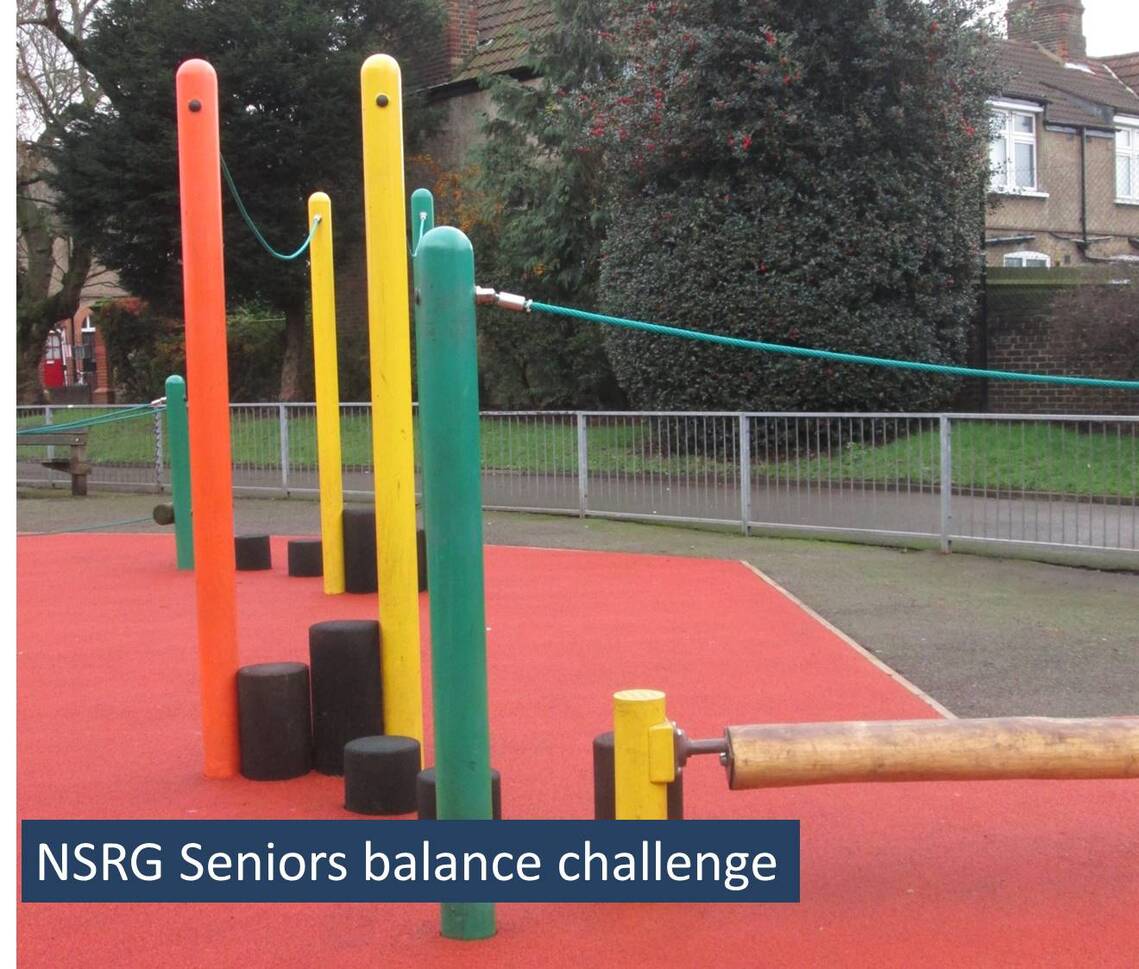 NSRG Seniors balance challenge 1