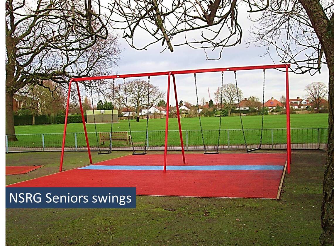 NSRG Seniors swings