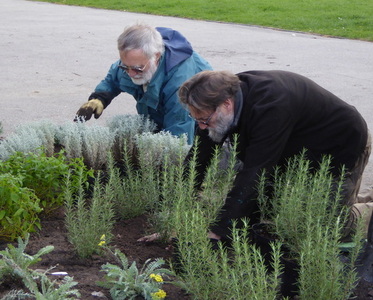 Peter Quested and Les Stratton made a formidable and fast planting team