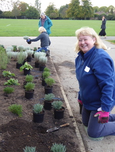 Sue enjoys gardening so much she did a double shift, setting out followed by planting.