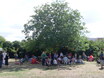 Orchard Party 24 July 2010 5
