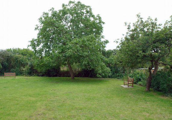 The Orchard - general view