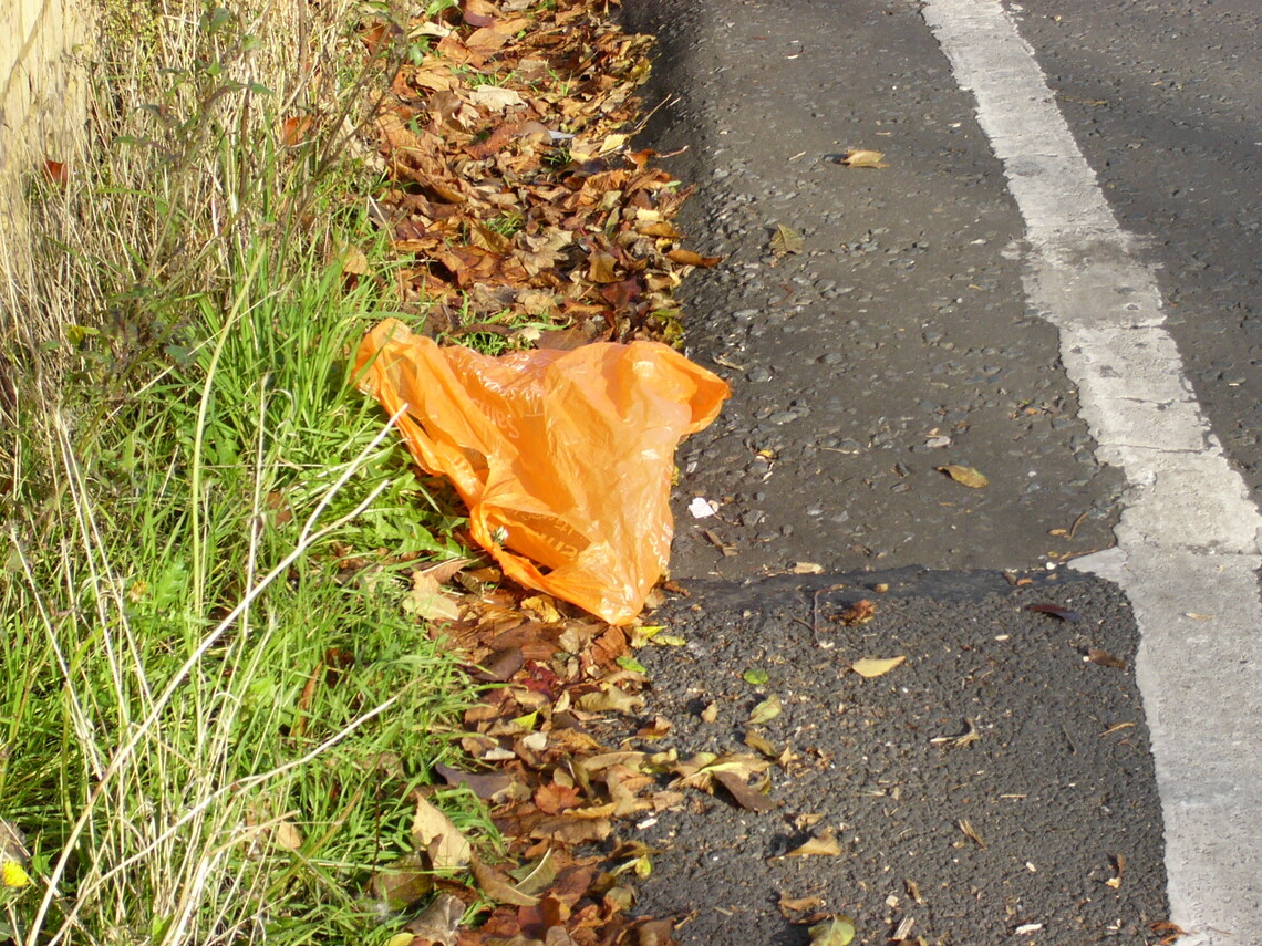 plastic bag litter Kingston