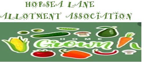 Horsea Lane Allotment Association logo
