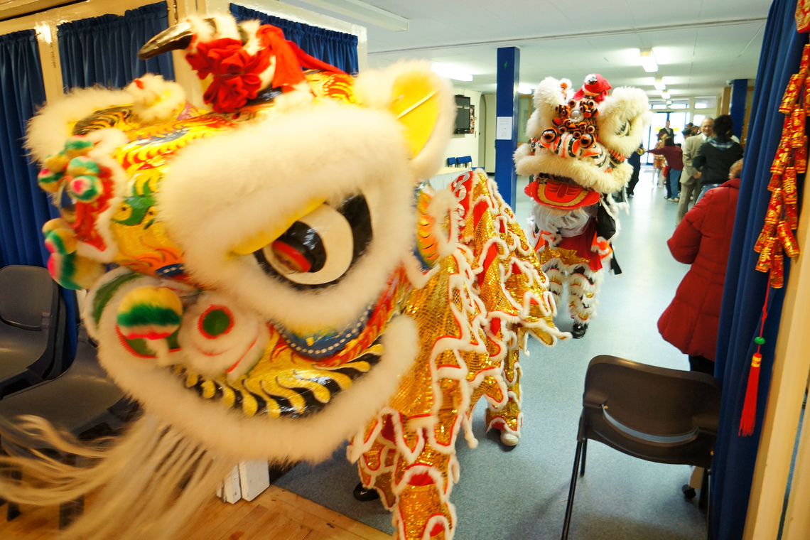 Lion dance
