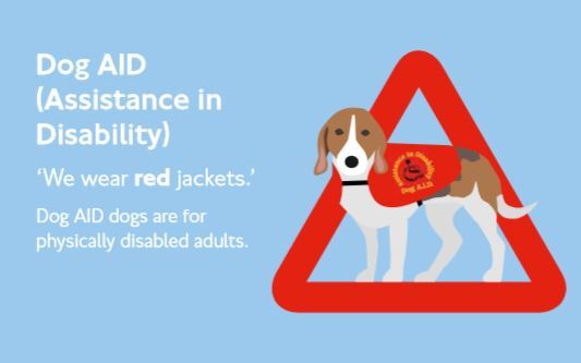Dog AID (Assistance in Disability