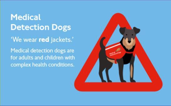 Medical Detection Dogs for Adults and Children with complex health conditions.