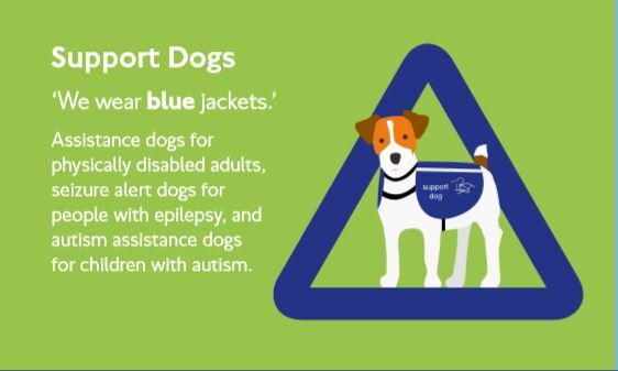 Support Dogs Assistant dogs for Physically Disabled Adults,