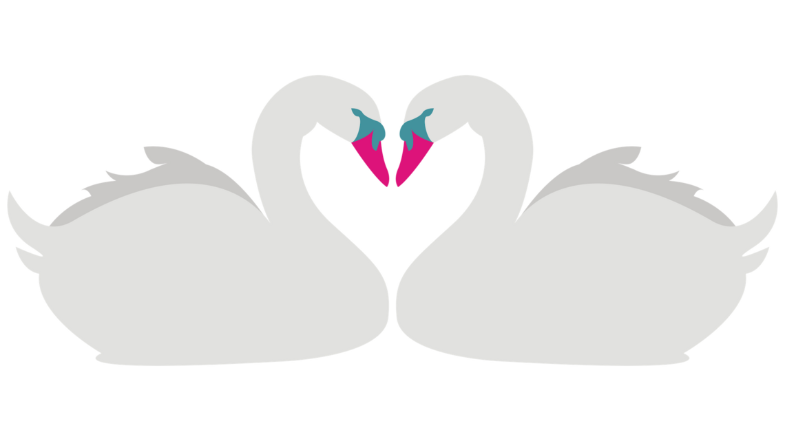 Two swans face to face making a heart shape