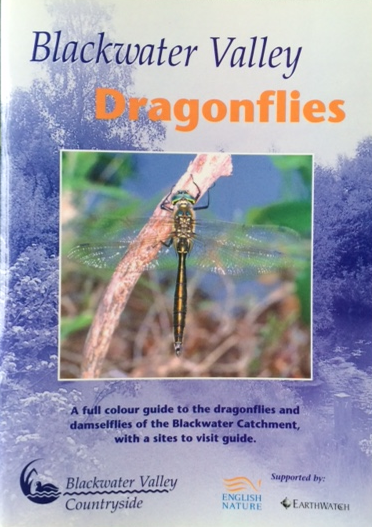 Blackwater Valley Dragonflies