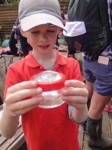 River Dipping - using the magnifier