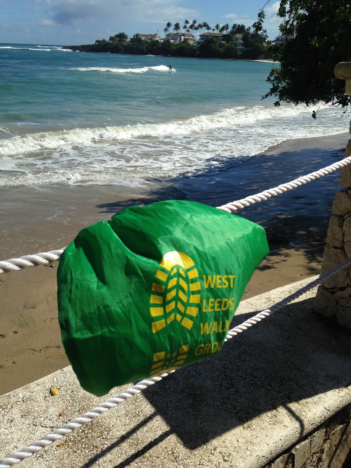 Green Bag in Carib