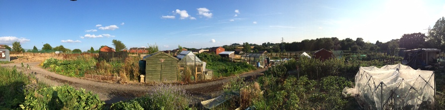 Wychbury Road Panorama