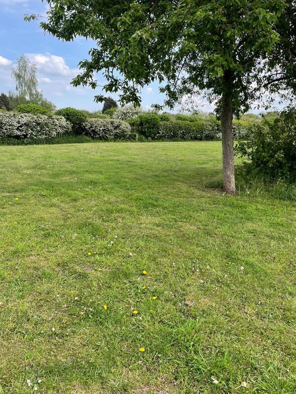 green grassy space with a tree @Barnby Road
