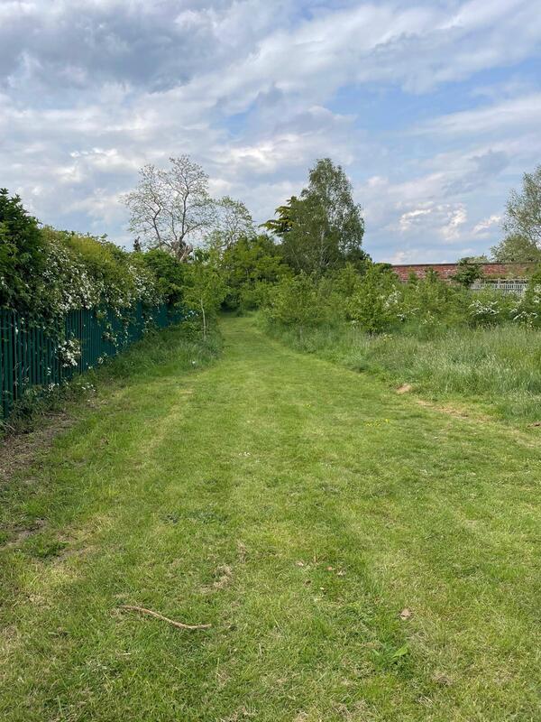 green grassy space edged with hedges and long grass @Barnby Road