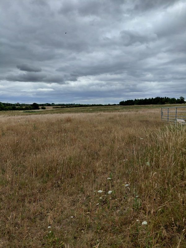 A field