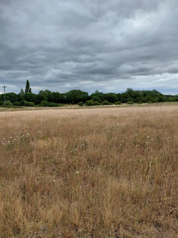 A field