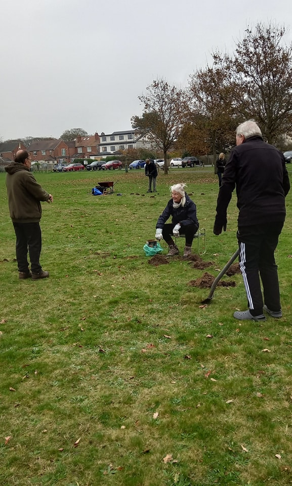 crocus planting 2024