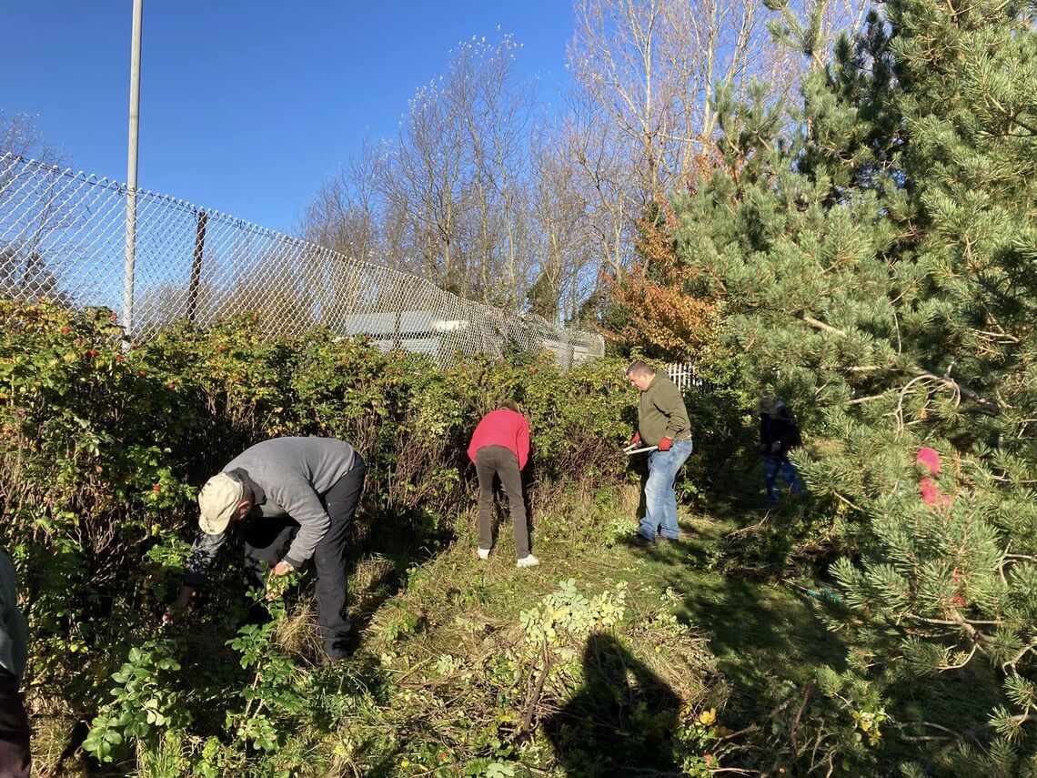 Volunteers working in the park