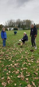 Planting crocus 2024