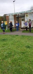 Crocus planting 2024