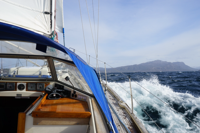 Hal in the North Sea