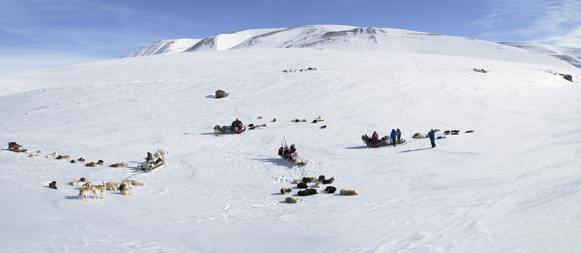 Pingel Dal sledge stop