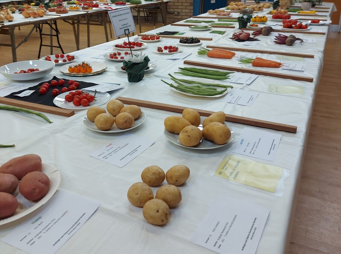 Ardeigh Veg 1 cropped 2025