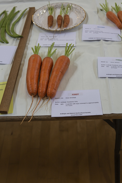 Ardleigh Residents 3