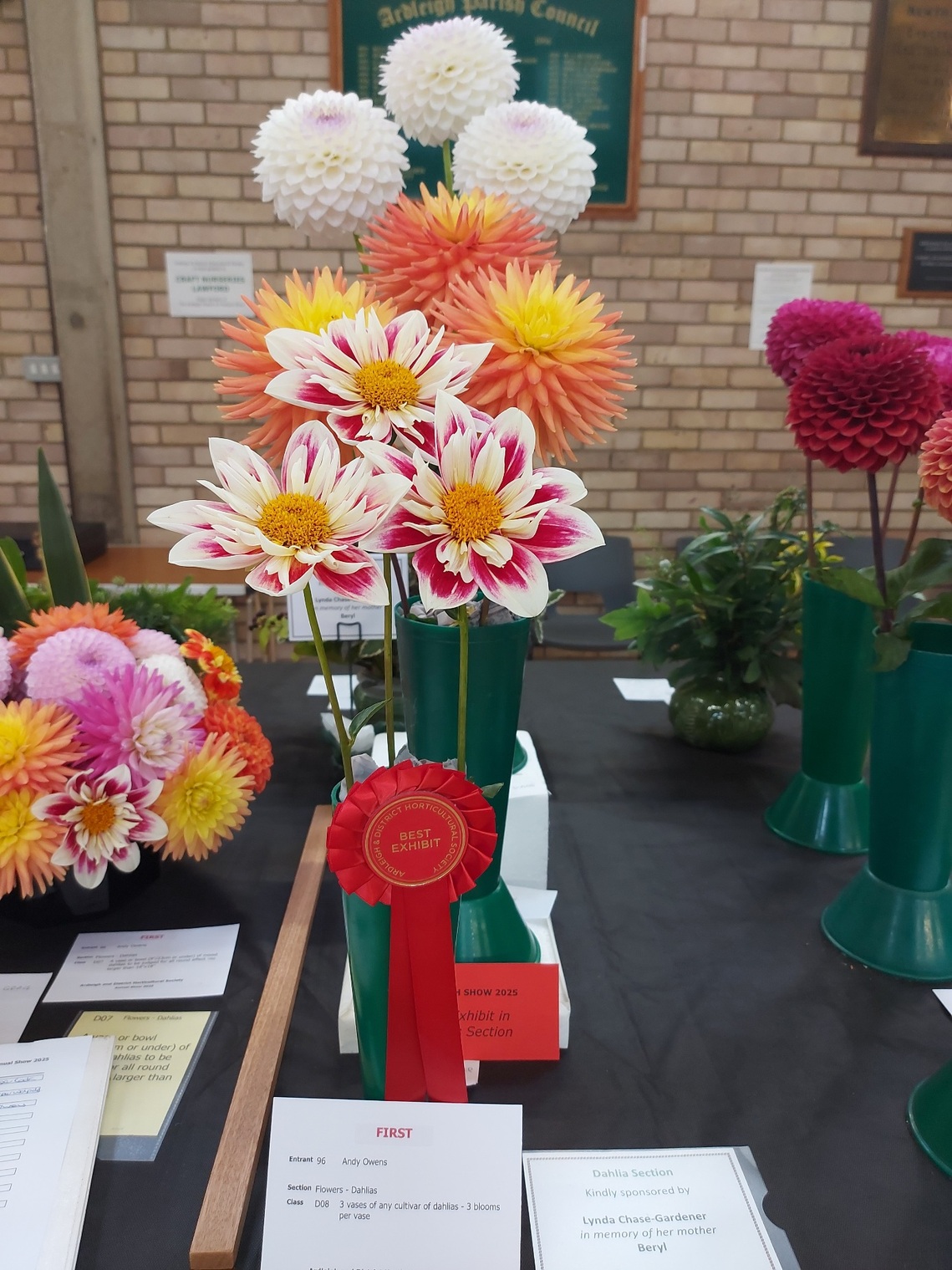 Best Dahlia 2025