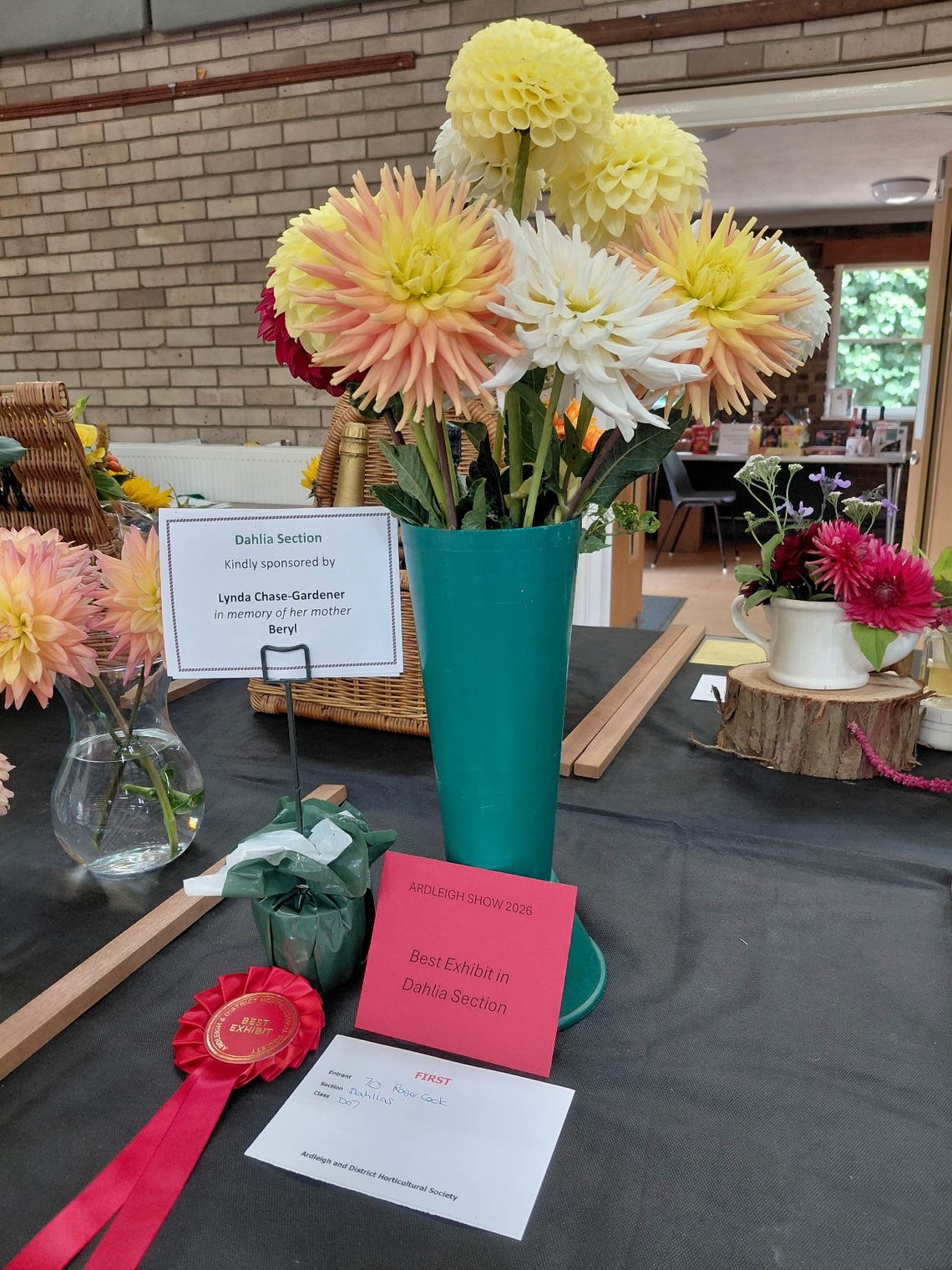 Best Dahlia exhibit 2026