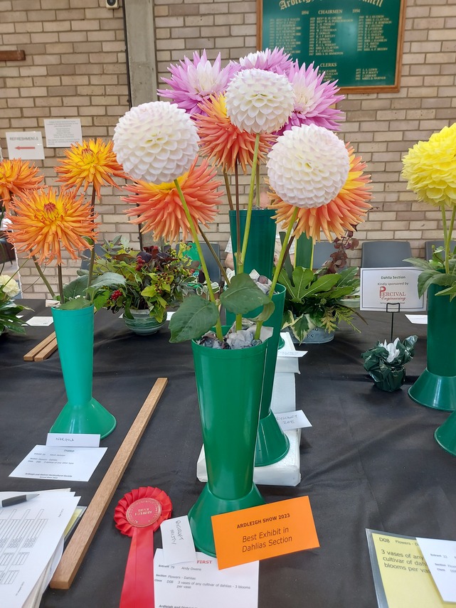 Best Dahlia Exhibit 2023