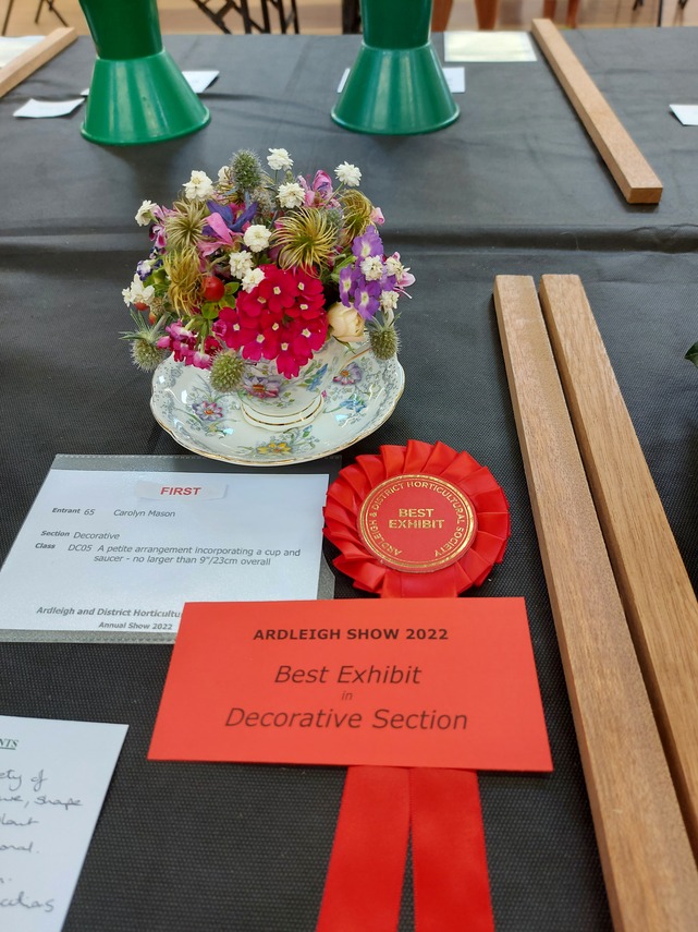 Best Decorative 2022