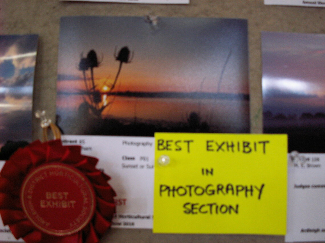 Best Photography Exhibit