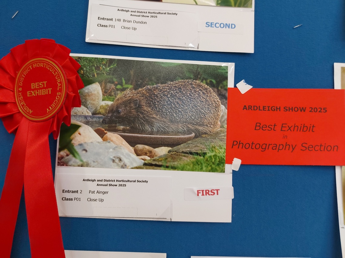 Best Photography Exhibit 2025