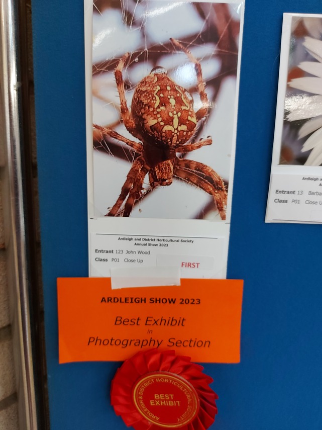 Best Photography Exhibit 2023