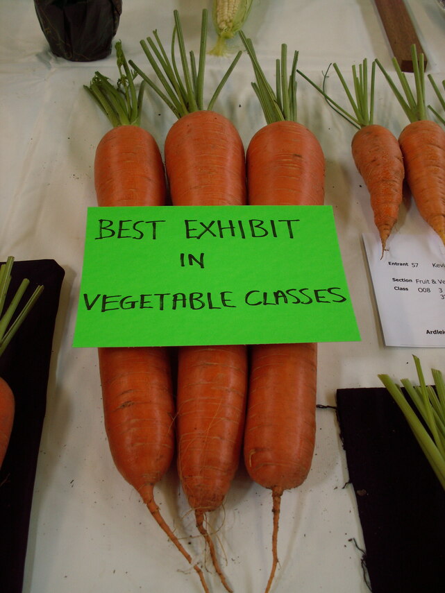 Best Vegetable Exhibit 2017
