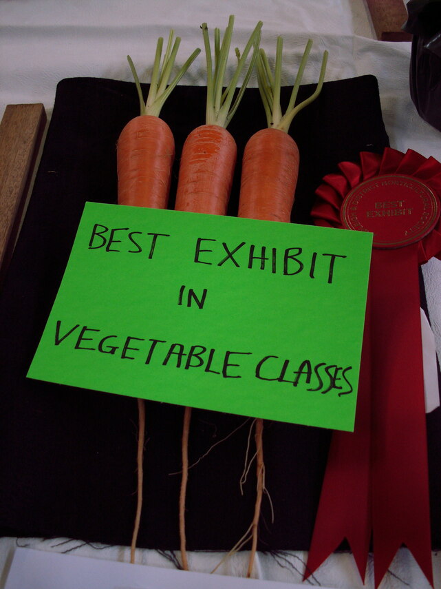Best Vegetable Exhibit