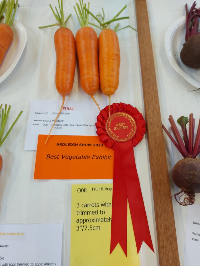 Best Vegetable Exhibit 2023