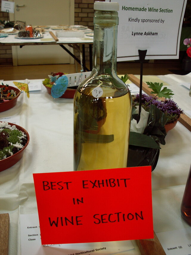 Best Wine Exhibit