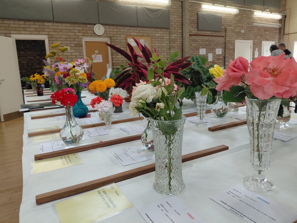flowers 2026 1