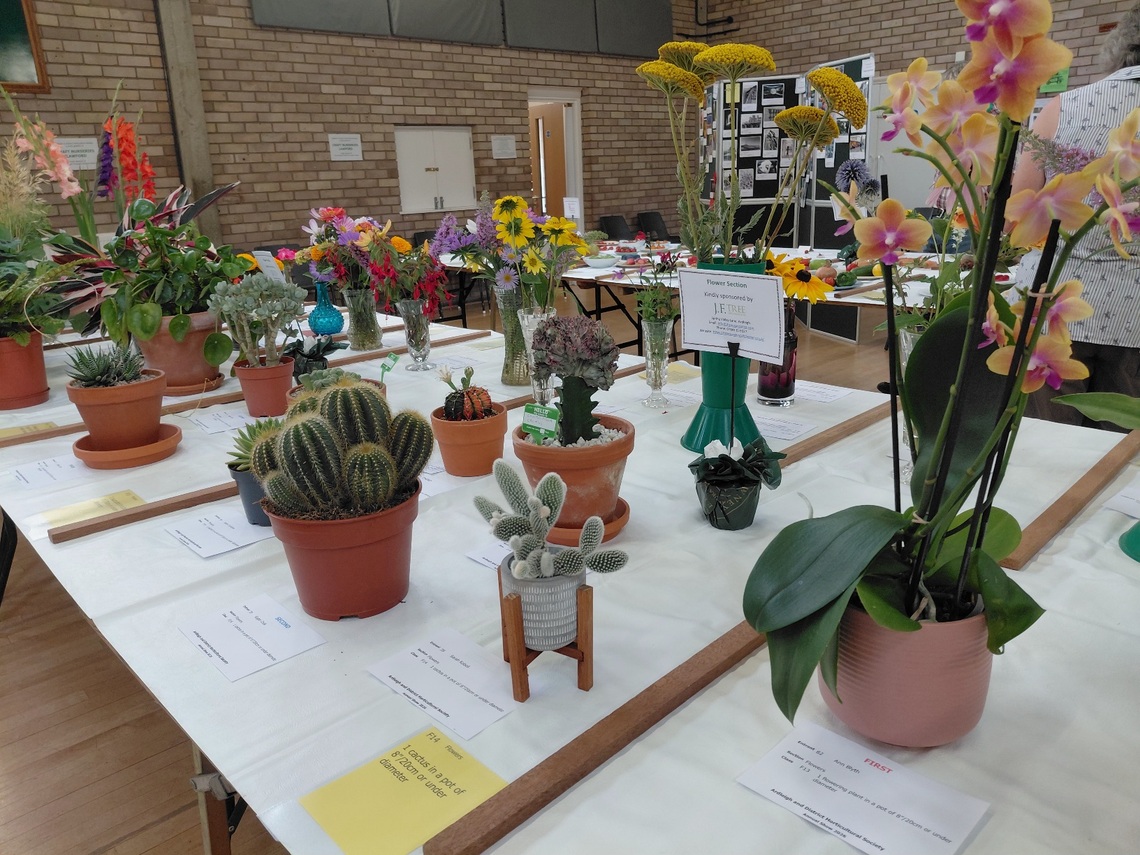 flowers 2026 3