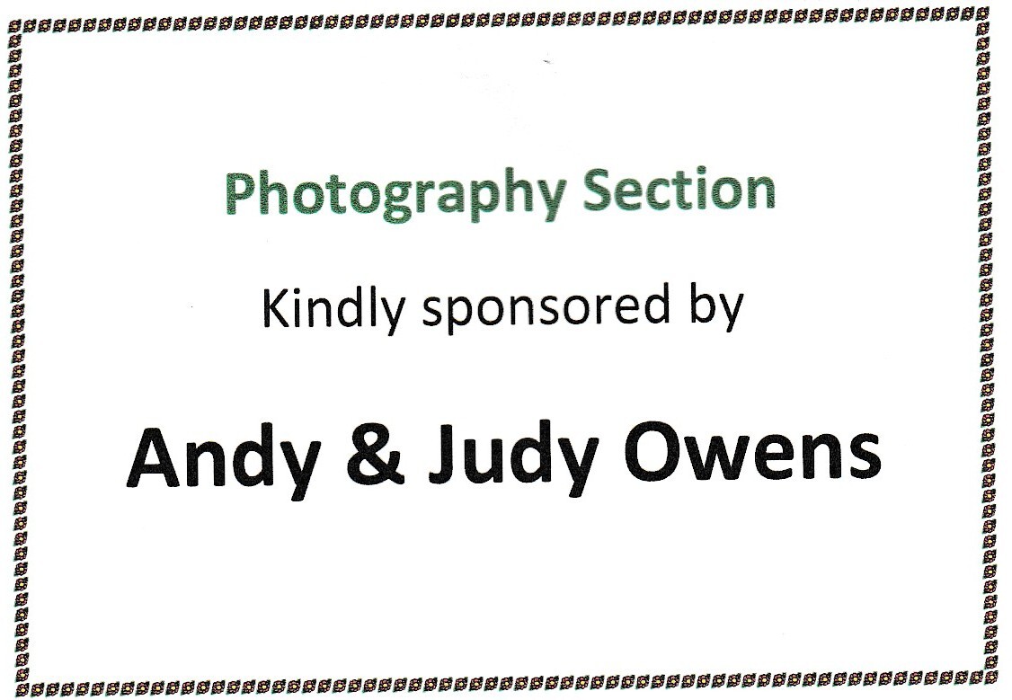 photo sponsor 2026