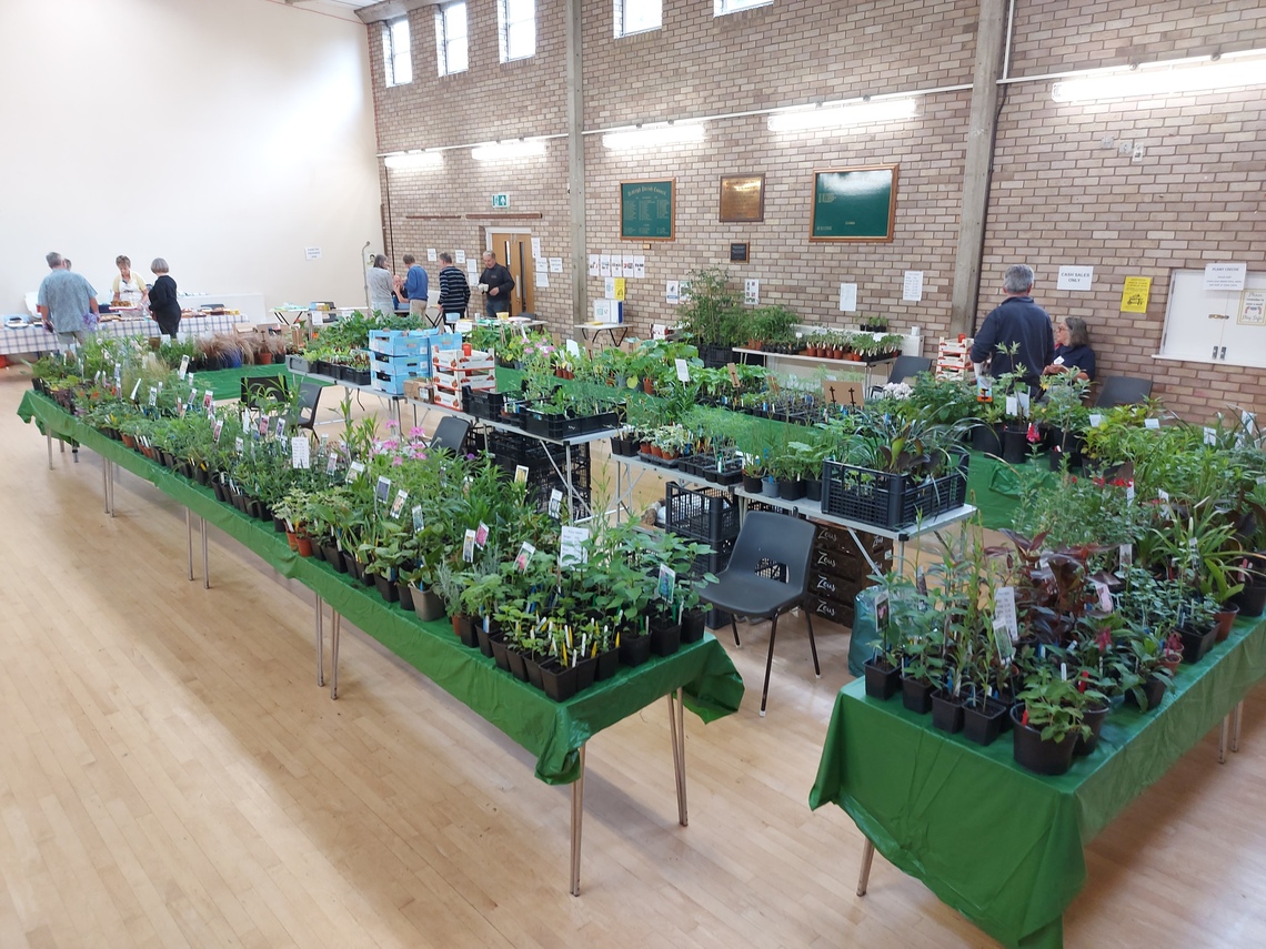 Plant sale 2024