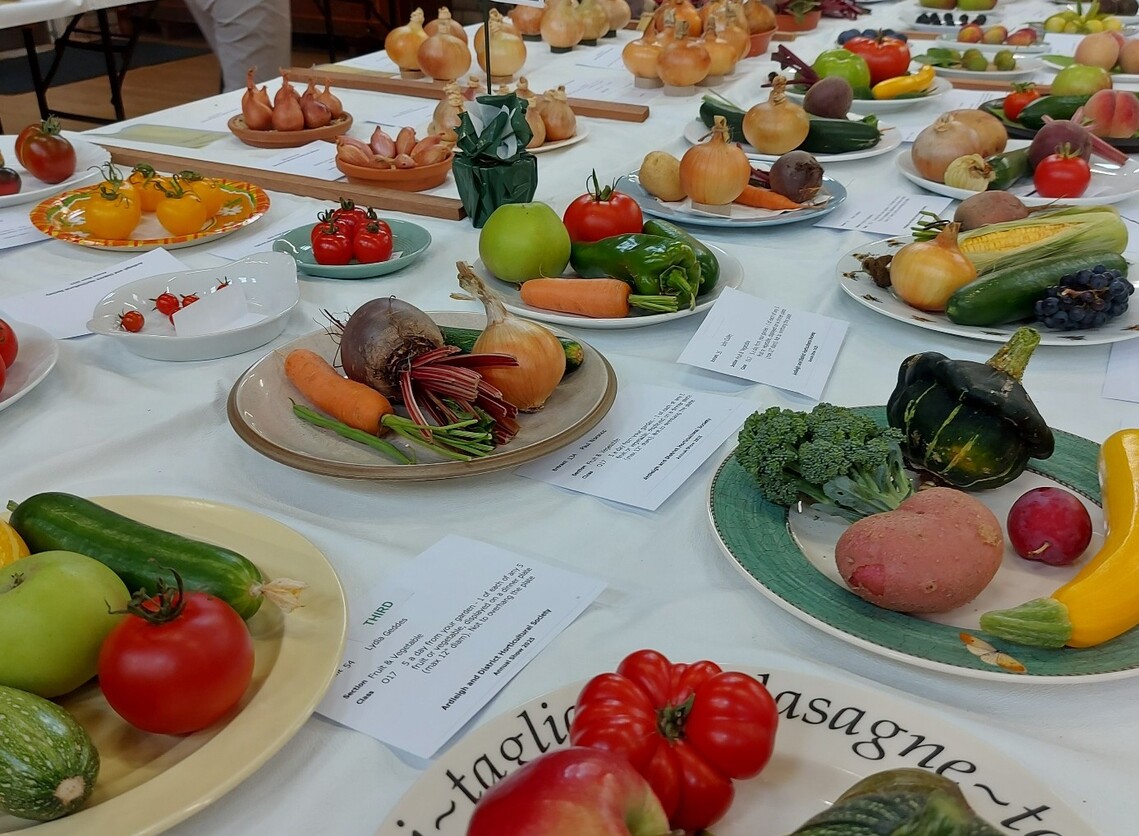 Veg 5 a day 2025 cropped