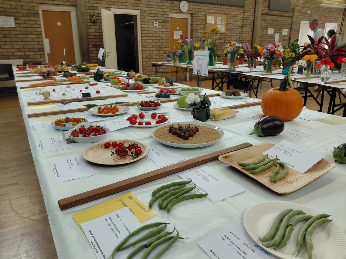 Vegetables 2026 2